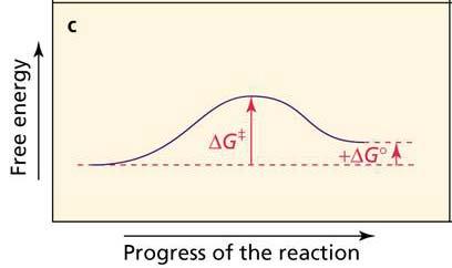 But: Thermodynamics alone says nothing about reaction rates Do we have sufficient thermal energy for rxn to reach eqm?