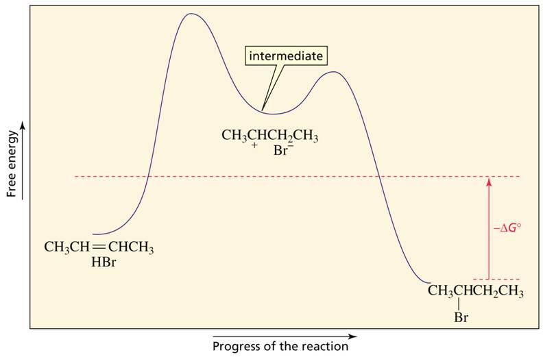 Electrophilic addition = a two-step mechanism ( 2 s) via a carbocation intermediate 1 2 Which step here is slower?
