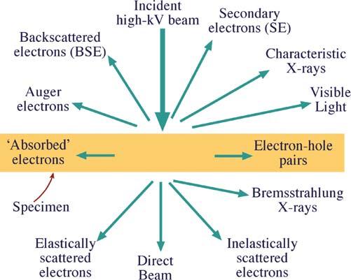 2 Theoretical Basics 1). In ctem only the direct beam, elastic or inelastic scattered electrons are of interest.