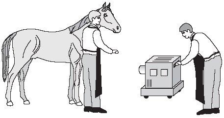0 The picture shows a horse being prepared for an X-ray. The person who will take the X-ray and the person holding the horse are wearing special aprons. These aprons have a lead lining.