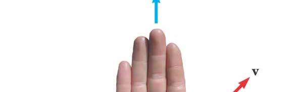 direction of v Fingers