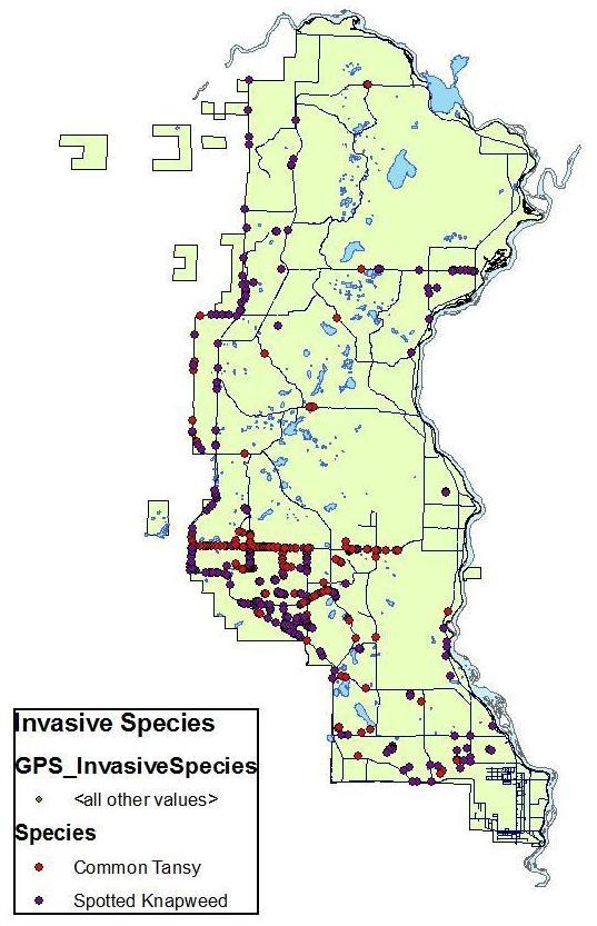 Invasive Species Distribution