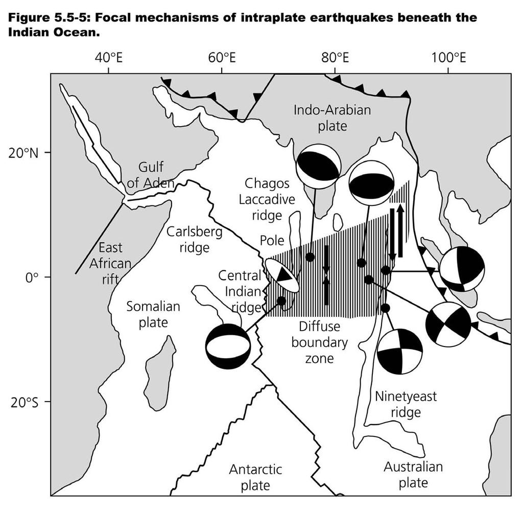 Deformation in Central Indian Ocean shown by large earthquakes and widespread basement folding in seismic reflection and gravity data DISTINCT INDIAN AND AUSTRALIAN PLATES First attributed to
