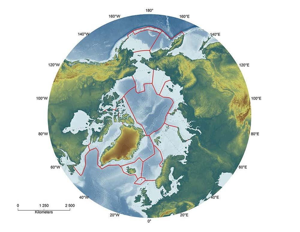 WGICA in coordination with results of the Arctic fish stocks and fisheries meetings of the Scientific Experts on Fish Stocks in the Central Arctic Ocean (FisCAO) Central Arctic Large Marine