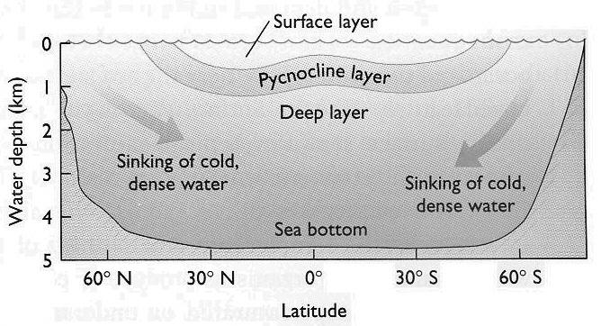 14 August 2008 MAR 110 HW5: Ocean Properties 1 Homework 5: Background Ocean Water Properties & Stratification The ocean is a heterogeneous mixture of water types - each with its own temperature,