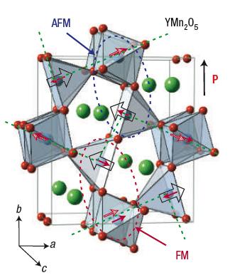 RMn 2 O 5 (R=Tb,Y,Dy,Ho,Bi, ) Mn 4+ : octahedrally