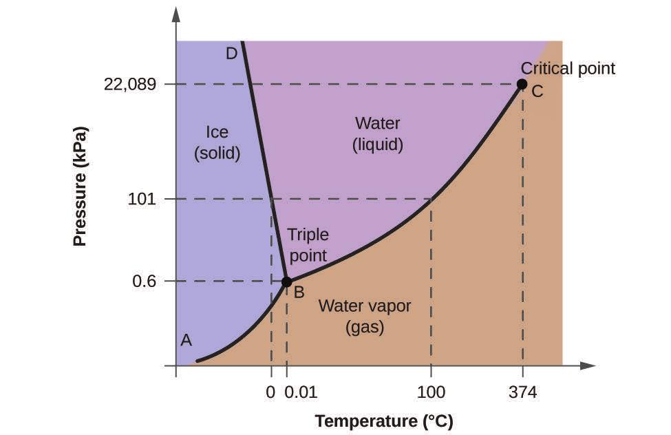 Phase diagram, H 2 0 Let us consider water, H 2 O Vapour pressure: coexisting gas and solid/liquid phase. Triple and critical points.