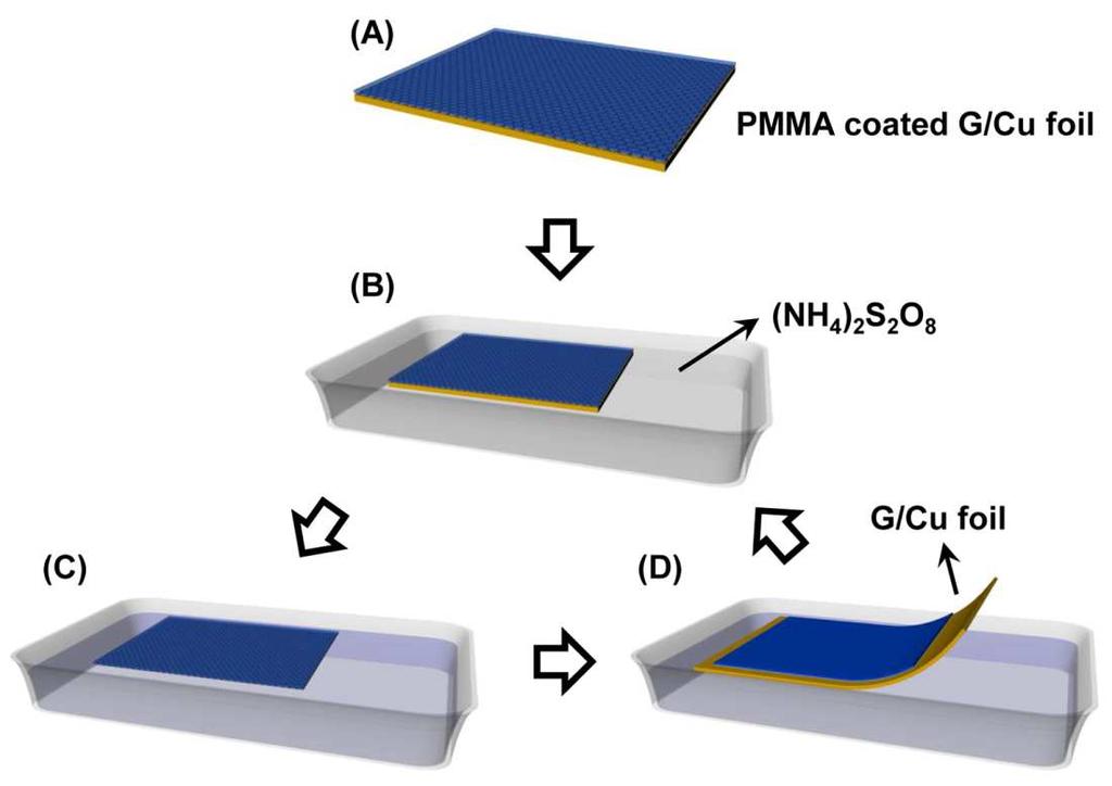 Figure S1. Schematic of direct transfer method. (A) Spin coating of PMMA as supporting layer after synthesis of graphene on Cu film. (B) Floating of the film on 0.