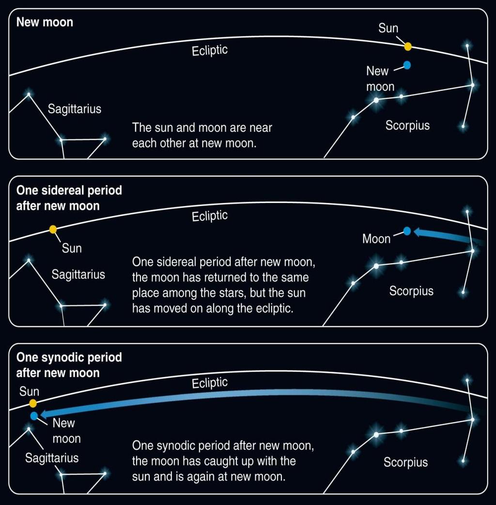 The Phases of the Moon (2) Fixed direction in space 29.53 days Earth Moon Earth orbits around Sun => Direction toward Sun changes!