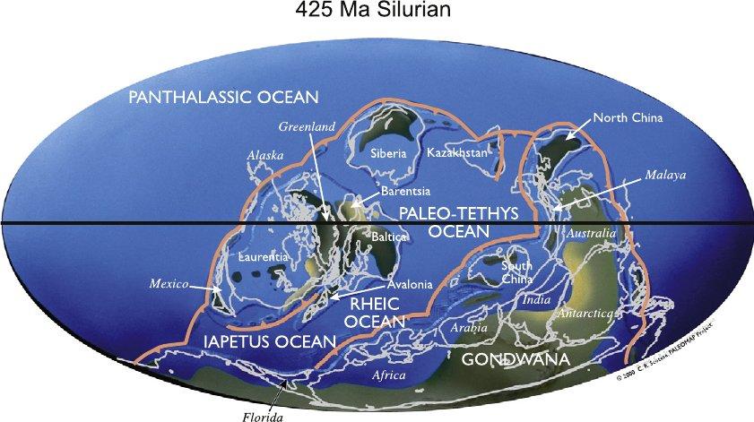 Ordovician, Silurian and Devonian: three ages of fishes Silurian period Fluctuating climate Prospering of marine fauna again Land