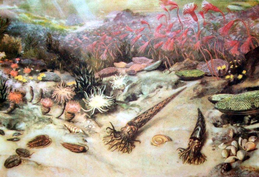 Ordovician, Silurian and Devonian: three ages of fishes Silurian
