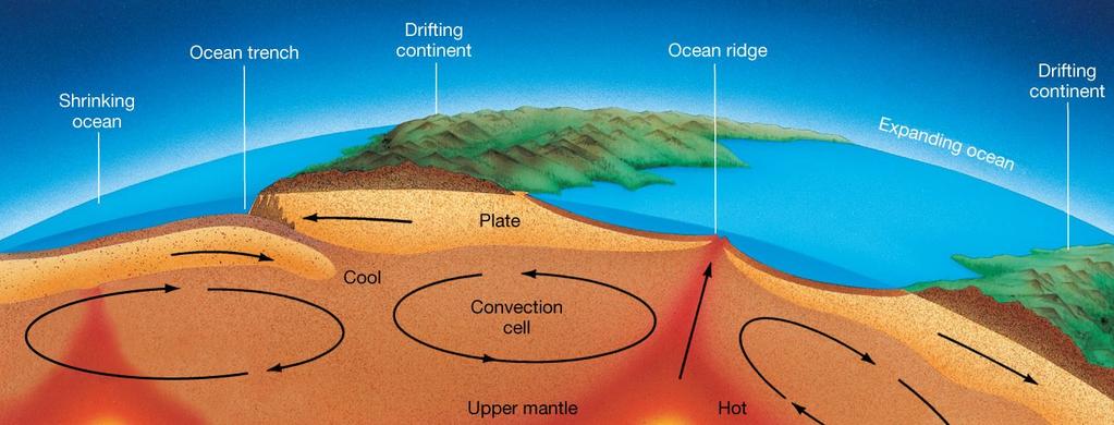 Palaeogeography Plate tectonics Mantle convection