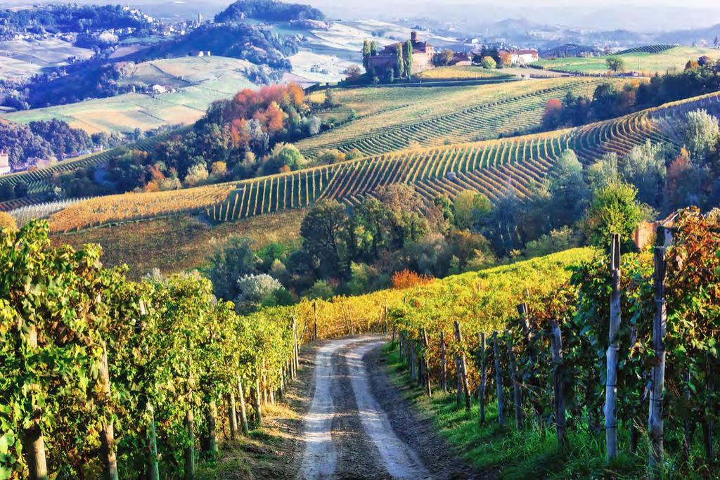 ITALY 2019 E P I C U R E A N T R A V E L BOUTIQUE HOTELS DISCOVER THE REAL ITALY INCREDIBLE FOOD AND WINE T R A V E L T H E R O A D L E S S T R A V E L L E D IT'S ALL INCLUDED 8 DAYS, 7 NIGHTS FOOD