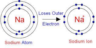Metal atoms: Become positive ions by losing all of their valence electrons; electrons