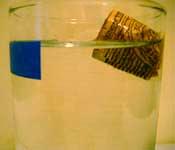 Archimedes Principal Example A cork has a density of 200kg/m 3. Find the fraction of the volume of the cork that is submerged when the cork floats in water.