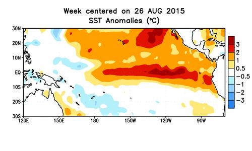 Warm water progression in Pacific ENSO