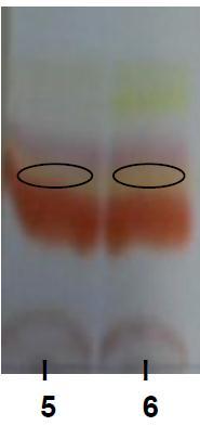 Simulated hypoxia: a) Spots without revealed (PD, orange; phenazine monoxides, yellow); b)