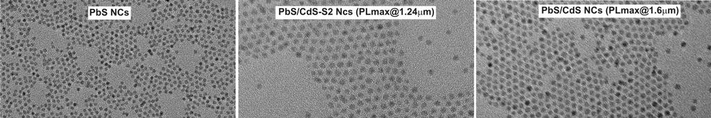 Figure S5. Powder X-ray diffractions spectra for original PbS NCs and for cation-exchanged PbS/CdS NCs (Sample II).