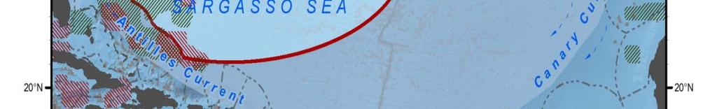 Sargasso Sea be described as an