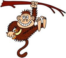 February 11, 009 Page 7 B3. A monkey, hanging onto a horizontal tree branch with one arm, swings in simple harmonic motion. The centre of mass of the monkey is 0.45 cm from the branch. Its mass is 9.