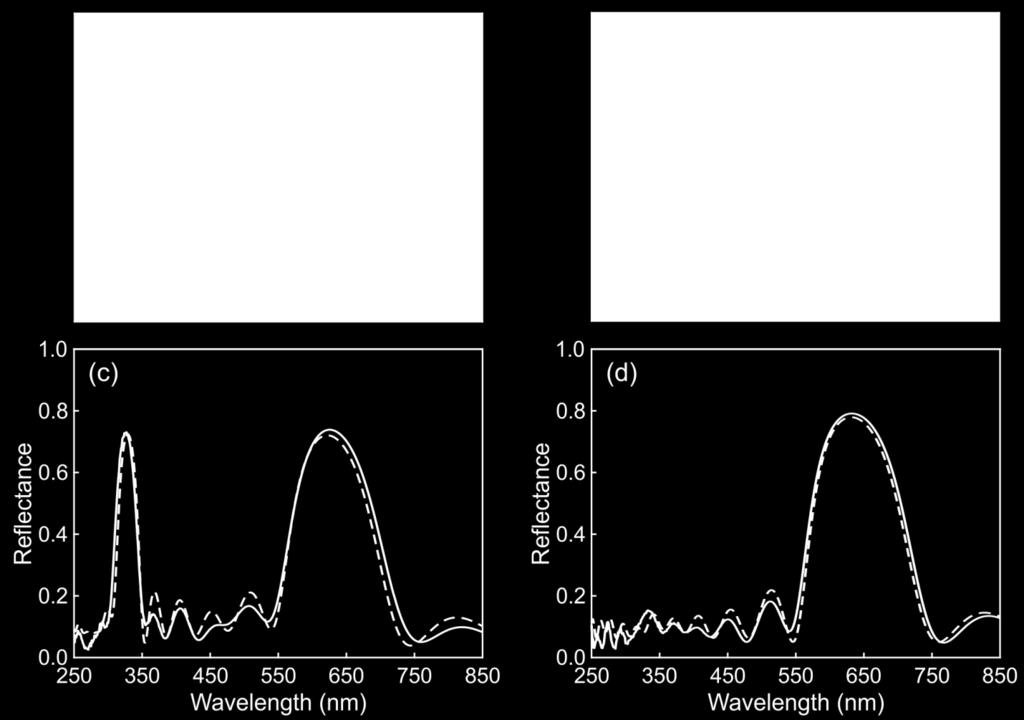 Spectrum displayed in (c) shows both first and second diffraction order whereas the second order has been suppressed