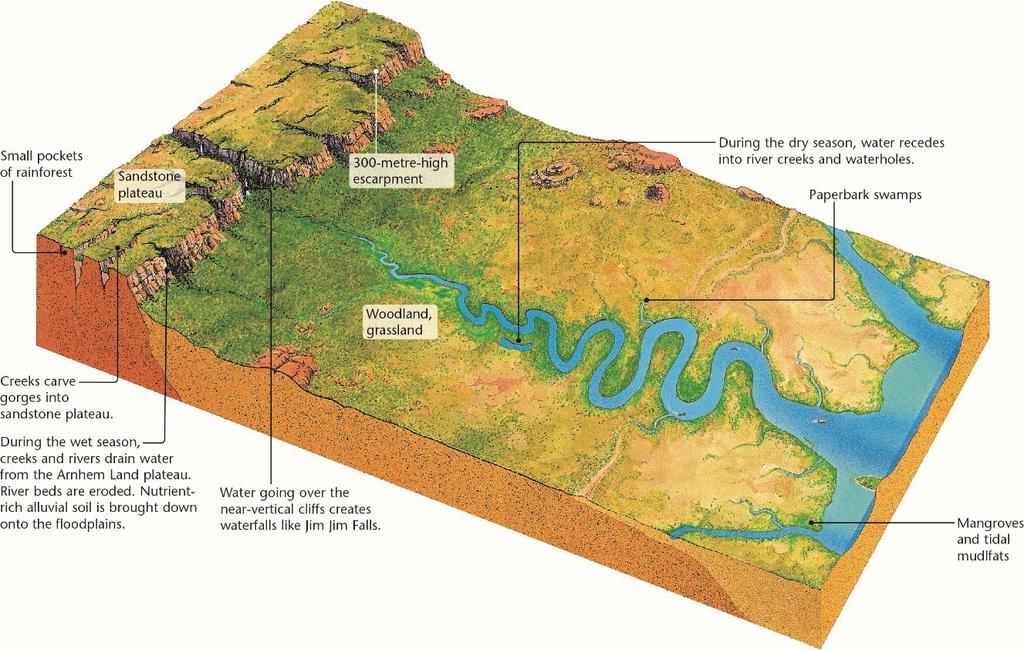 Question 3 The diagram below shows the landform features in Kakadu National Park. a.