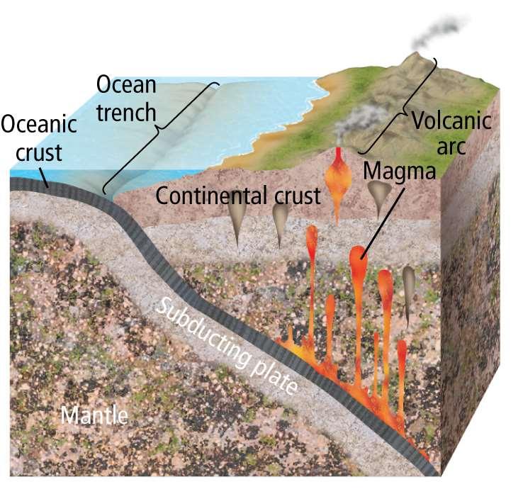 Volcanic arcs can