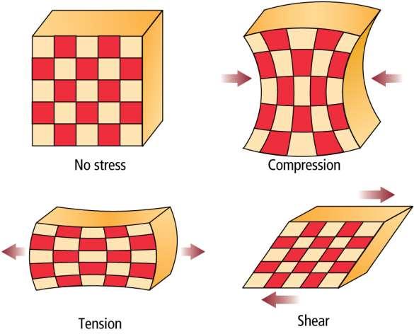 Compression, tension, and shear