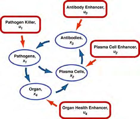antibodies x 3 = Concentration of antibodies, which recognize antigen and kill pathogen x 4 = Relative