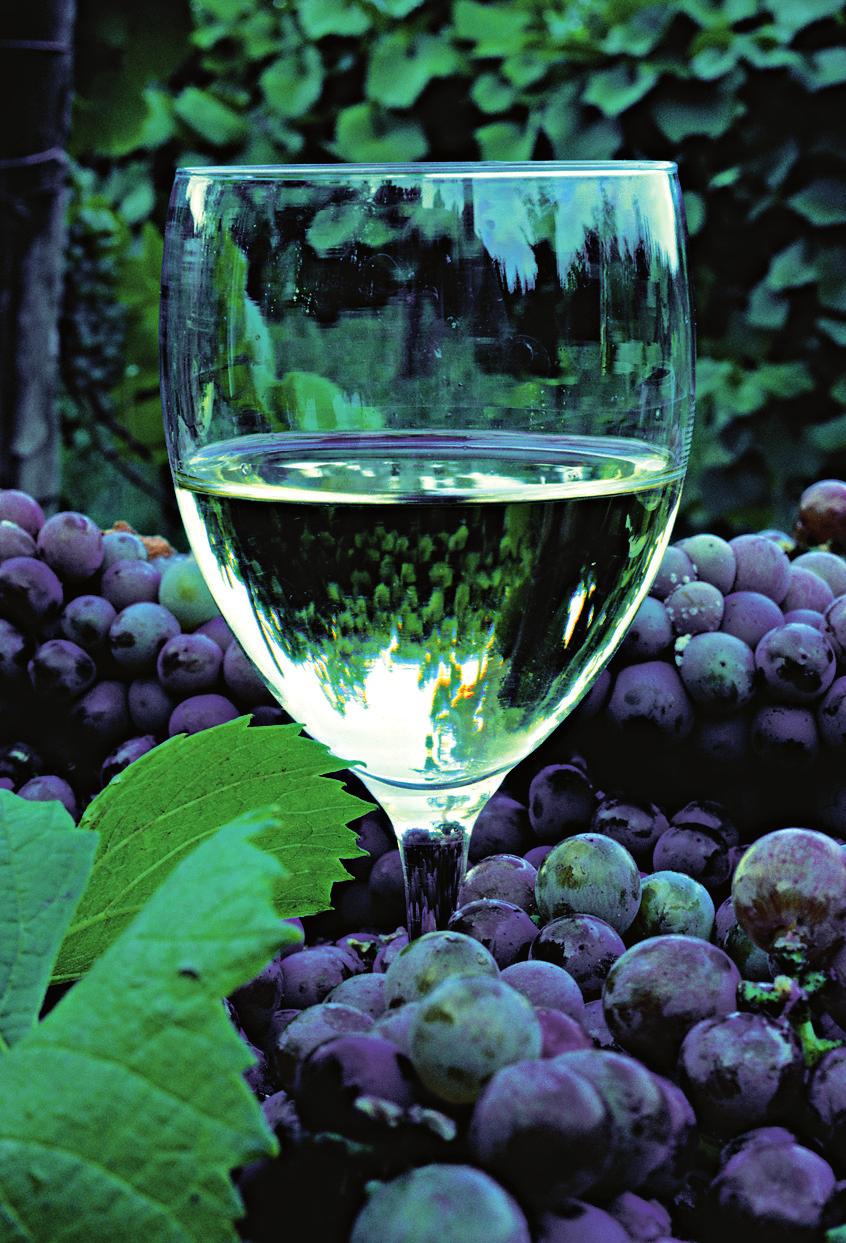 Colloidal silica dispersions for beverage clarification Colloidal silica is used as a flocculation agent for wine and fruit juice, normally combined with gelatine and/or bentonite.