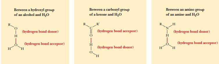 Water forms H-bonds with other polar molecules - H-bonds are not unique only for water - H atoms bonded to O, N or any