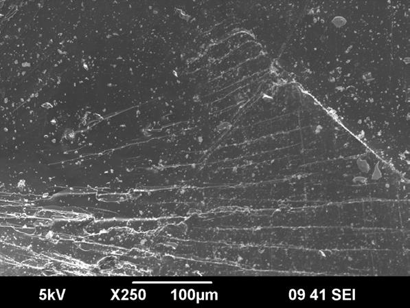 Coal Microscopy Study Hard-to-drain Image showing the coal solid surface and porous structure