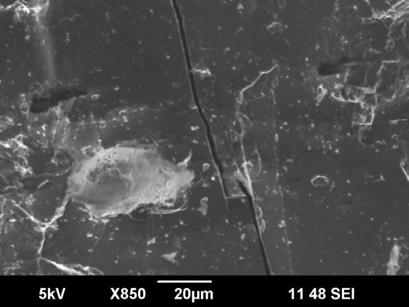 Coal Microscopy Study Easy-to-drain Image showing the coal fracture and open porous structure