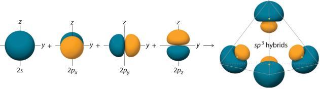 Characteristics of hybridization The formation of four sp 3 hybrid orbitals by combination of an atomic s orbital with three atomic p orbitals.