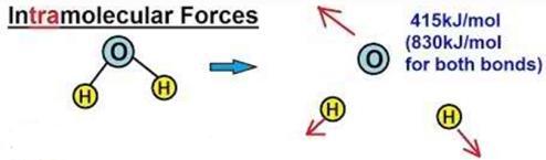 Intermolecular/Intramolecular Forces Intermolecular forces are attractive forces between molecules.