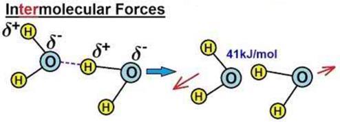 Intermolecular vs Intramolecular 41 kj to vaporize 1 mole of water (inter) 830 kj to break all -H bonds in 1 mole of water (intra) Intermolecular