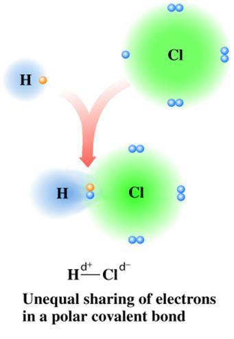 Unequal Sharing in Polar Covalent Bonds The negative pole is centered on the more