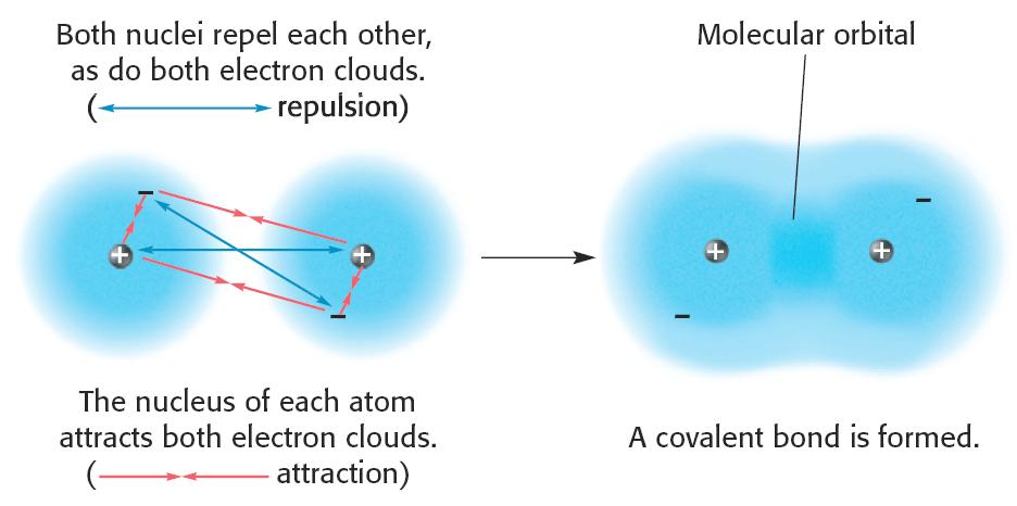 Electronegativity and bond types Attraction and repulsion in covalent bond Formation