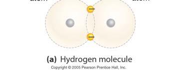 Nonpolar bonds: the atoms have the same