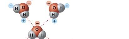 Hydrogen Bonds Figure 2.