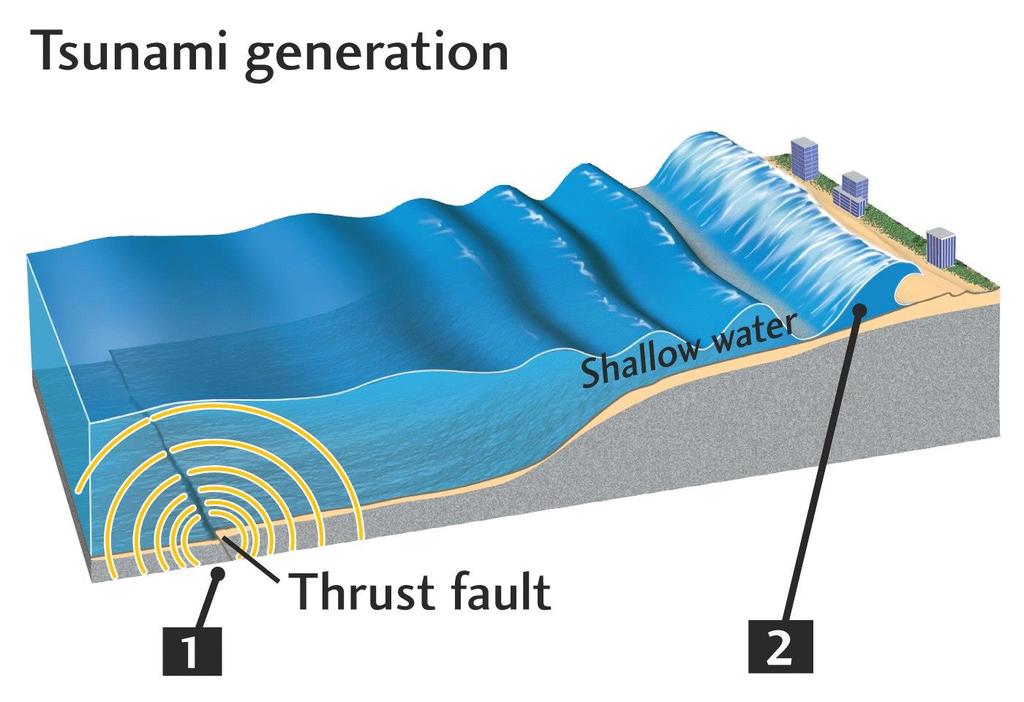 Tsunami Generation 1. Movement of seafloor during an earthquake produces a surge of water that becomes a long sea wave.