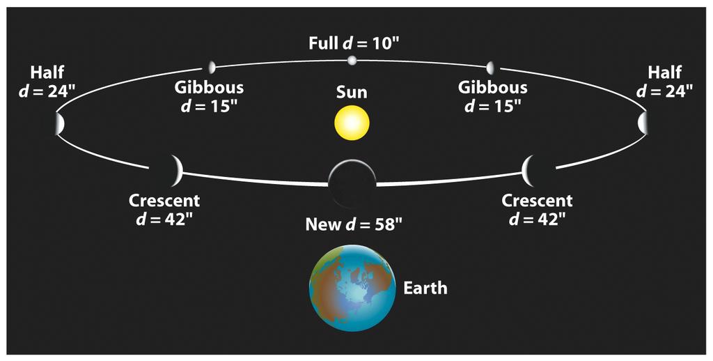 The Phases of Venus Galileo (1610) Could not be explained with the Geocentric model http://www.astro.ubc.