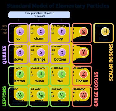 Figure 2: The elementary particles described by the SM. nature of particle physics.