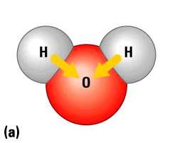 Slide 28 But the electrons of the covalent bonds are not shared equally between oxygen and hydrogen (+) (+) ( ) ( ) Figure 2.
