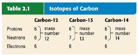 number, determines which element it is An atom s mass number is the sum of the number of protons and neutrons Mass