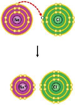 Slide 22 When an atom loses or gains electrons, it becomes electrically charged Ionic Bonds Sodium atom (Na) Chlorine atom (Cl)