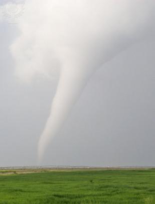 Chapter 1 What is a tornado? A tornado is a deadly twister that strikes and can cause a lot of damage. A tornado can be very big and very fast.