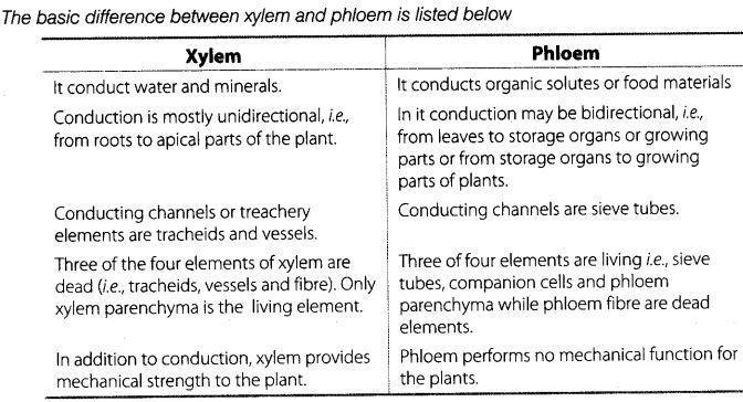 (iv) phloem fibre Question 55: (a) Differentiate between meristematic and permanent tissues in plants.