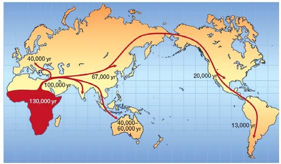 Archaic humans living in Asia and Europe (like the