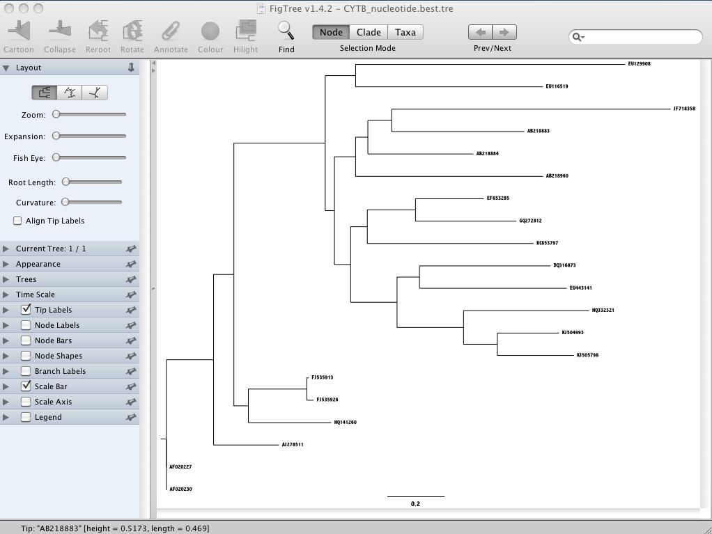Phylogenetic Inference: Rapid Visualization of Trees (Garli) Let s explore our ML tree using Fig Tree. You can drag and drop the tree file: CYTB_nucleotide.best.